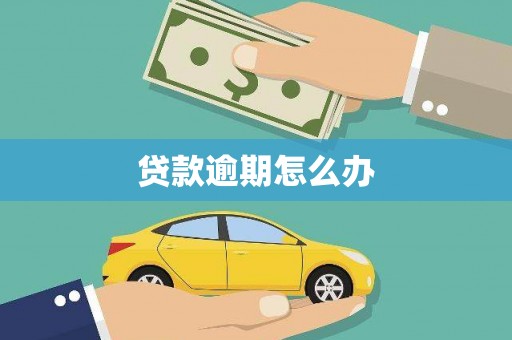池州贷款逾期怎么办
