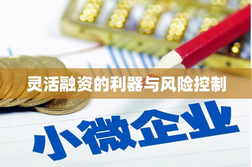池州灵活融资的利器与风险控制