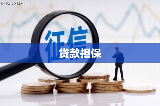 池州贷款担保
