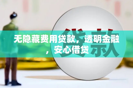 池州无隐藏费用贷款，透明金融，安心借贷