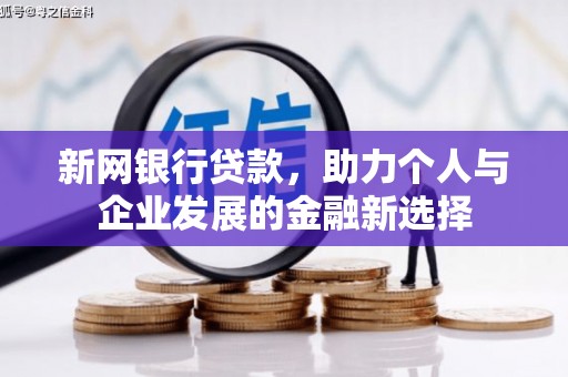 池州新网银行贷款，助力个人与企业发展的金融新选择