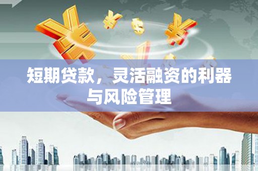 池州短期贷款，灵活融资的利器与风险管理