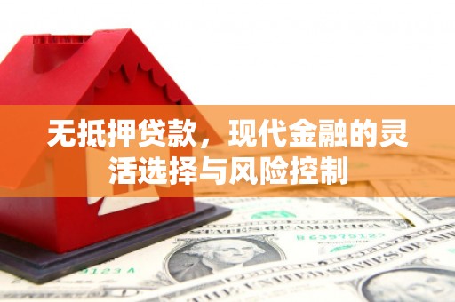 池州无抵押贷款，现代金融的灵活选择与风险控制