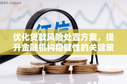 池州优化贷款风险处置方案，提升金融机构稳健性的关键策略