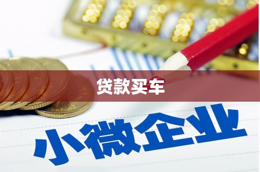 池州贷款买车