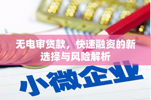 池州无电审贷款，快速融资的新选择与风险解析
