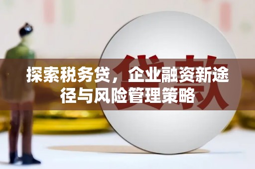 池州探索税务贷，企业融资新途径与风险管理策略