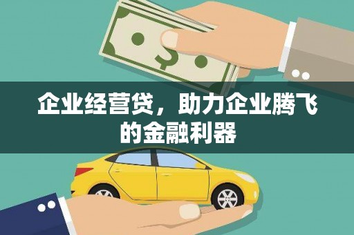 池州企业经营贷，助力企业腾飞的金融利器