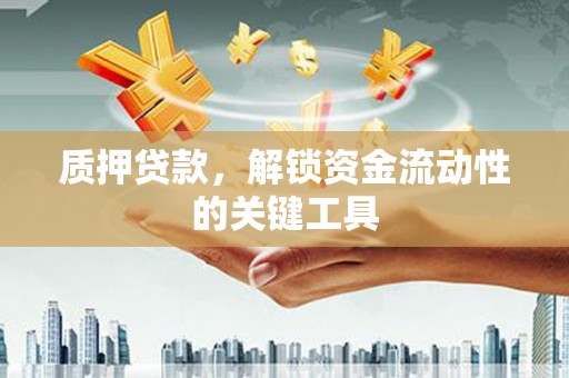 池州质押贷款，解锁资金流动性的关键工具