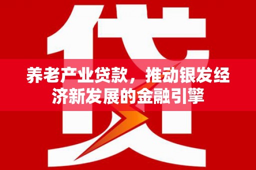 池州养老产业贷款，推动银发经济新发展的金融引擎