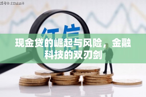 池州现金贷的崛起与风险，金融科技的双刃剑