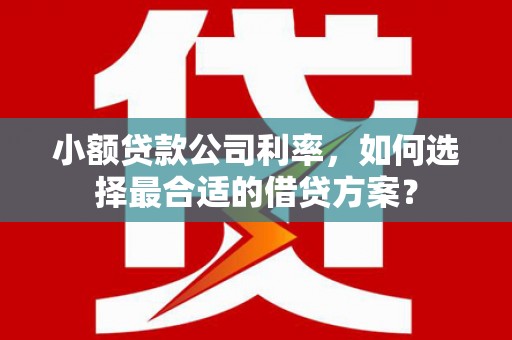 池州小额贷款公司利率，如何选择最合适的借贷方案？