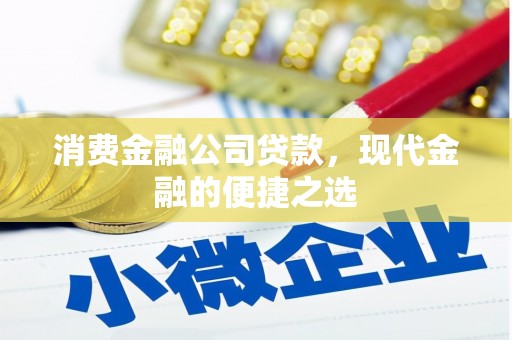 池州消费金融公司贷款，现代金融的便捷之选