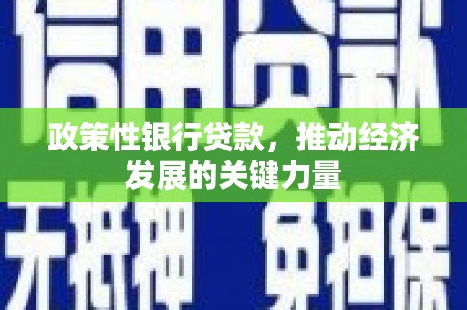 池州政策性银行贷款，推动经济发展的关键力量
