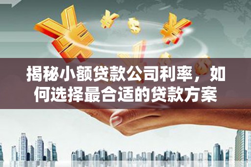 池州揭秘小额贷款公司利率，如何选择最合适的贷款方案