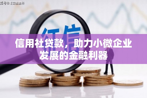 池州信用社贷款，助力小微企业发展的金融利器