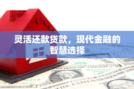池州灵活还款贷款，现代金融的智慧选择