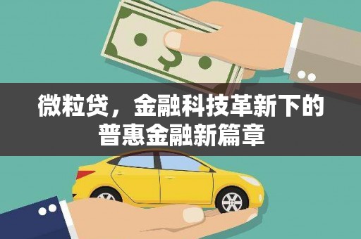 池州微粒贷，金融科技革新下的普惠金融新篇章