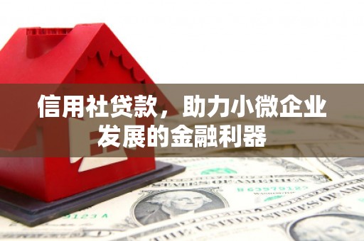 池州信用社贷款，助力小微企业发展的金融利器