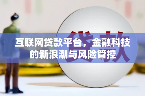 池州互联网贷款平台，金融科技的新浪潮与风险管控
