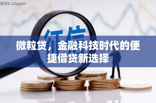 池州微粒贷，金融科技时代的便捷借贷新选择