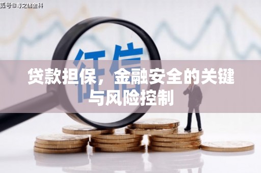 池州贷款担保，金融安全的关键与风险控制