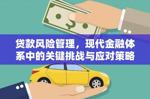 池州贷款风险管理，现代金融体系中的关键挑战与应对策略