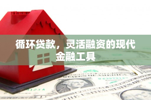 池州循环贷款，灵活融资的现代金融工具