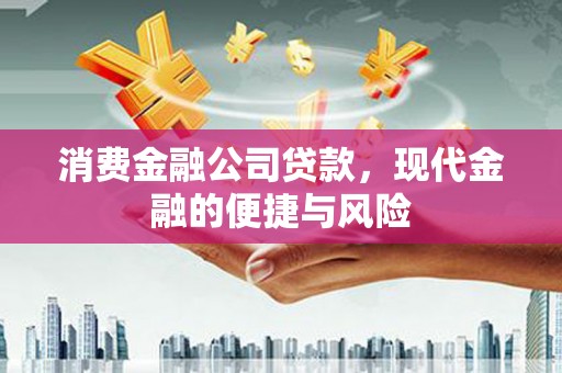池州消费金融公司贷款，现代金融的便捷与风险