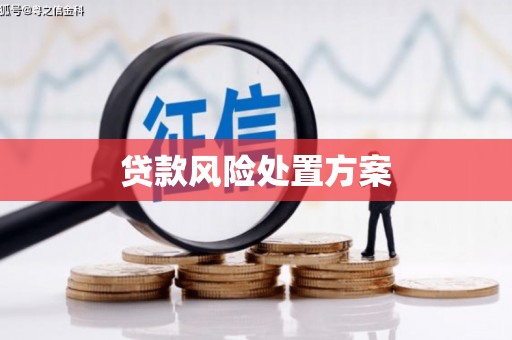池州贷款风险处置方案