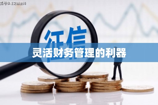 池州灵活财务管理的利器