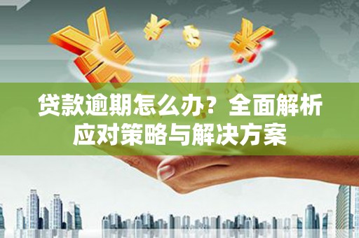 池州贷款逾期怎么办？全面解析应对策略与解决方案